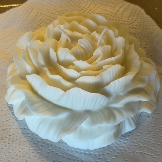 Blossom Rosé XL